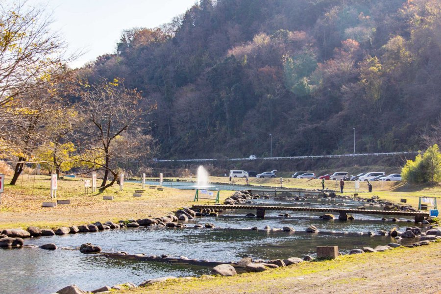 中津川マス釣り場